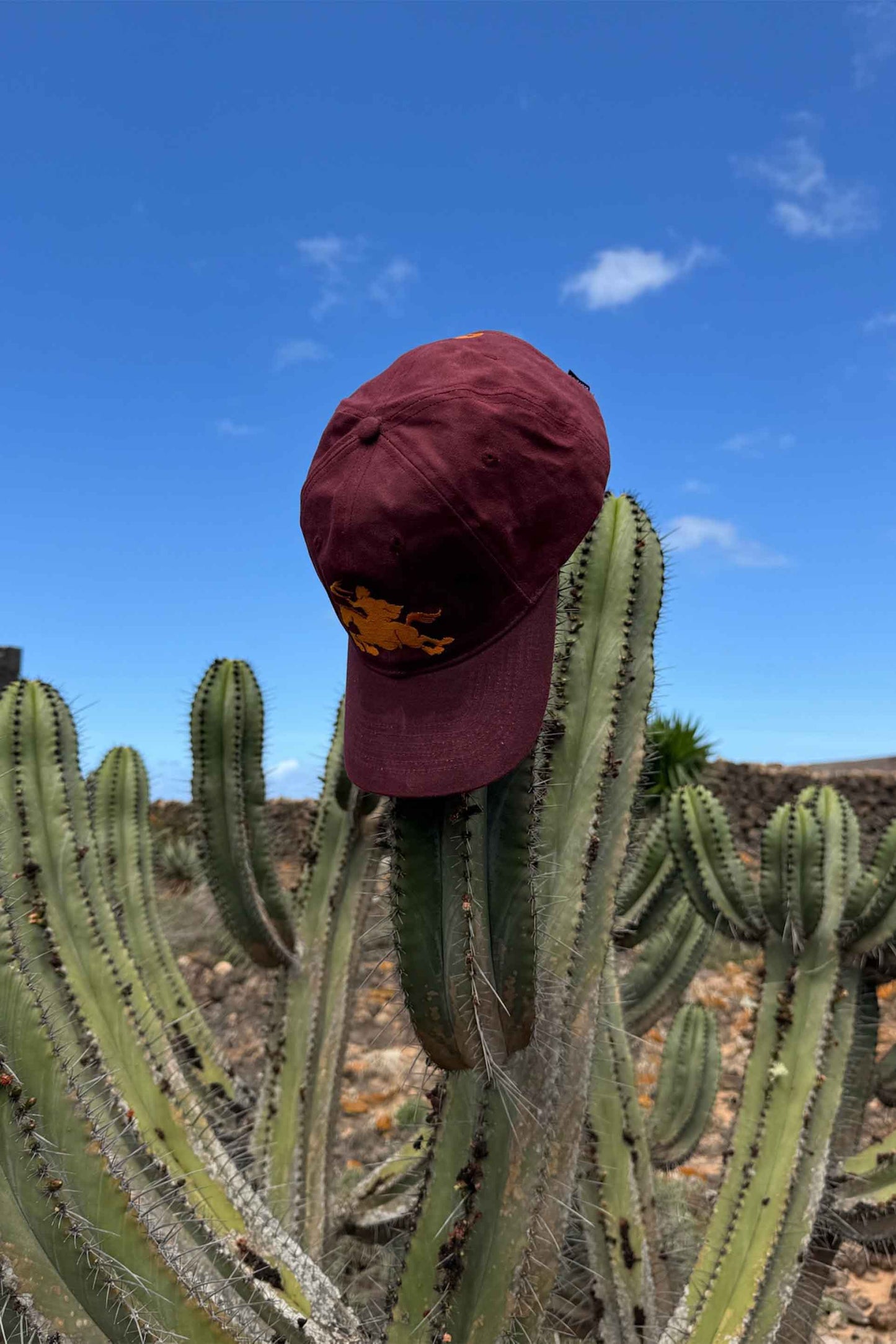 Emblem Burgundy Cap